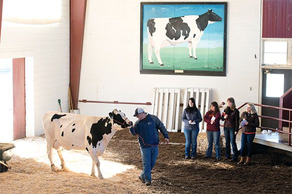 Virginia Tech's dairy-judging team has claimed four out of the last twelve national titles. Photo by Logan Wallace.