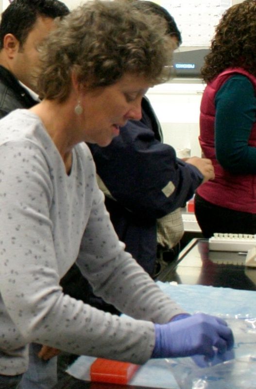 Wendy Wark working in the laboratory.